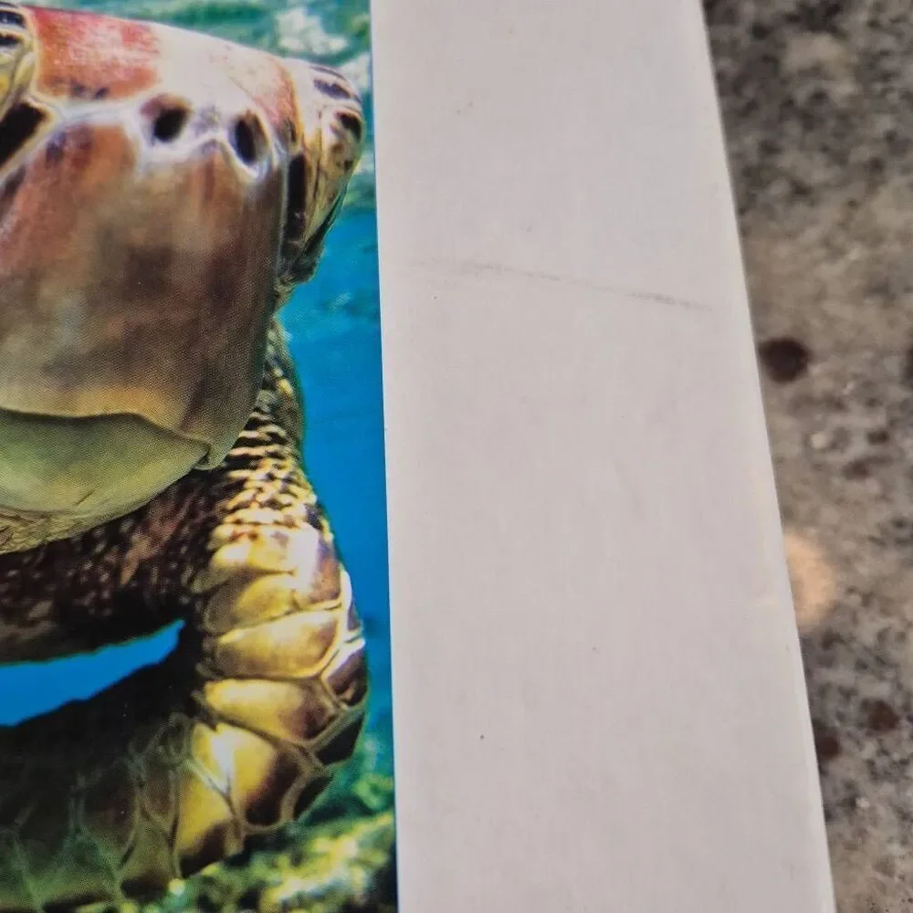 Earthpix Sea Turtle 500 pc Jigsaw Puzzle NEW box stained
